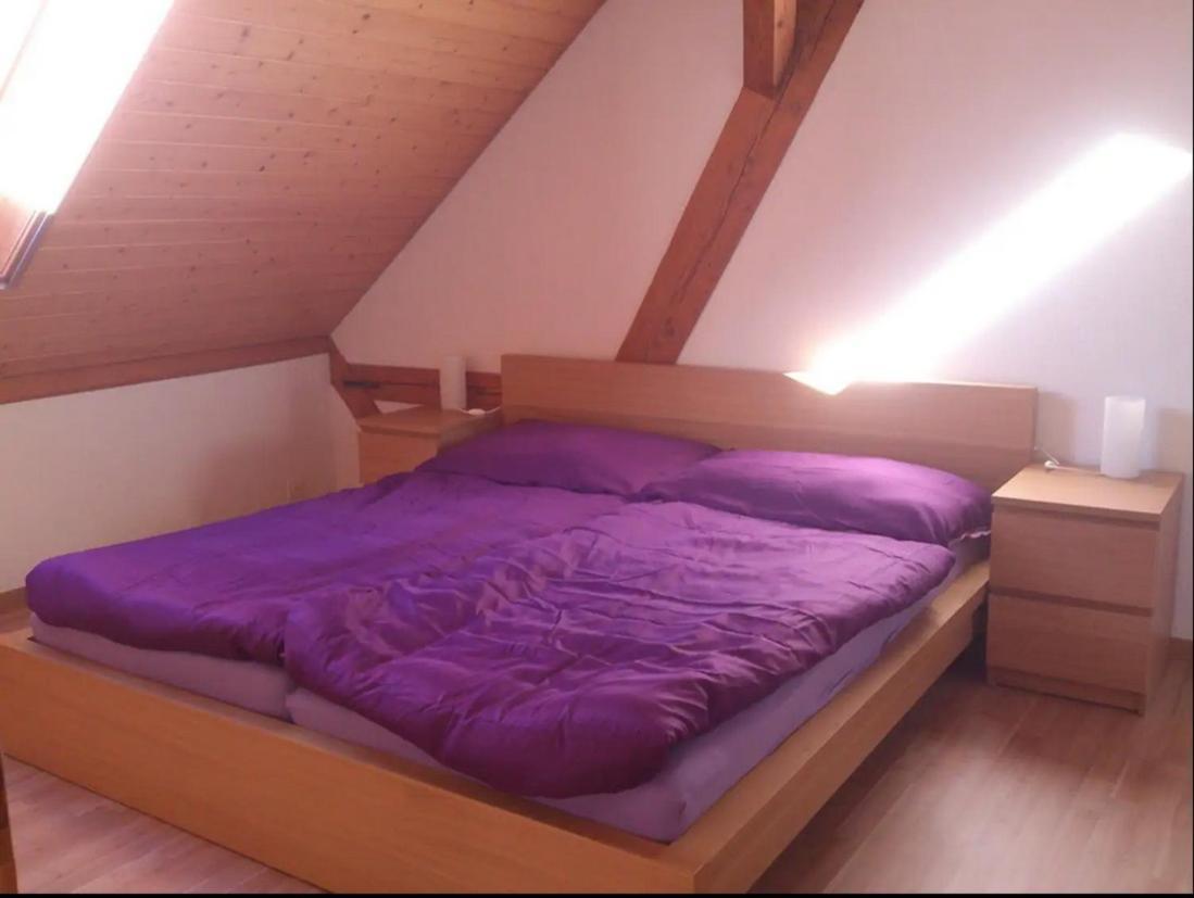 Privater Whirlpool & Sauna - Wellness Oase Apartment